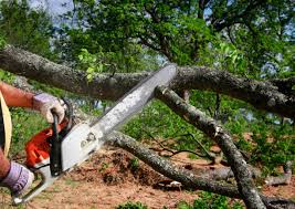 Best Lawn Grading and Leveling  in Decordova, TX