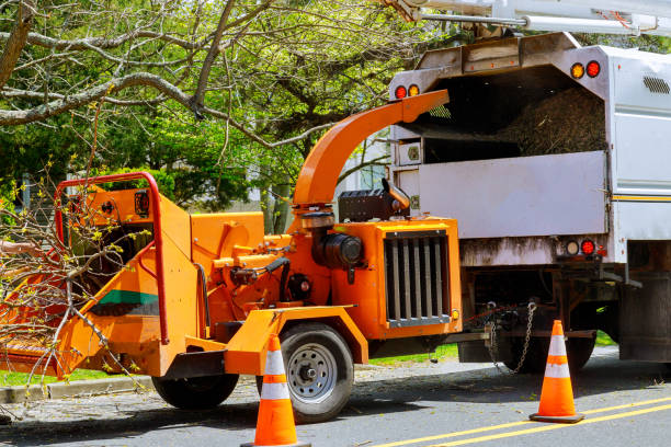 Best Commercial Tree Services  in Decordova, TX